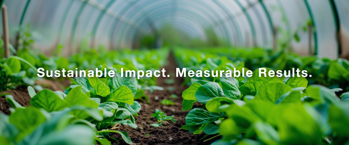 Sustainable-Impact.-Measurable-Results